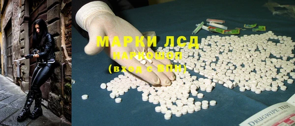 шишки Ахтубинск