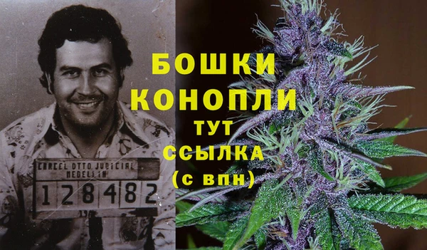 винт Нея